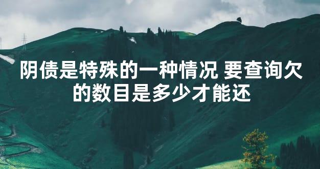 阴债是特殊的一种情况 要查询欠的数目是多少才能还